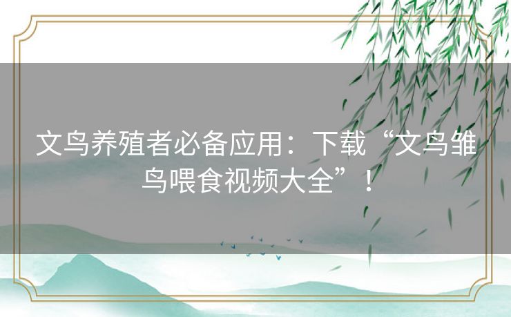 文鸟养殖者必备应用:下载“文鸟雏鸟喂食视频大全”! 文鸟养殖者必备应用:下载“文鸟雏鸟喂食视频大全”!