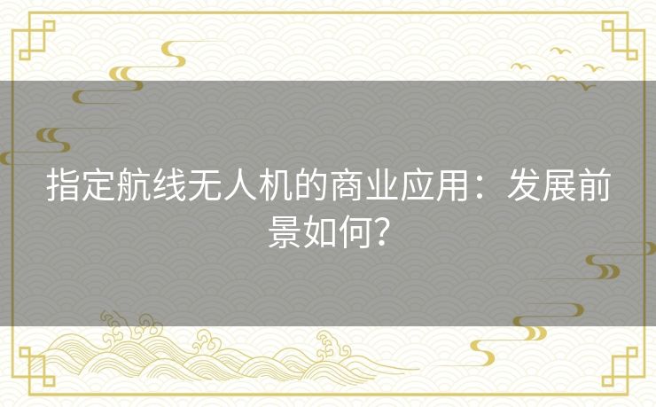 指定航线无人机的商业应用:发展前景如何? 指定航线无人机的商业应用:发展前景如何?