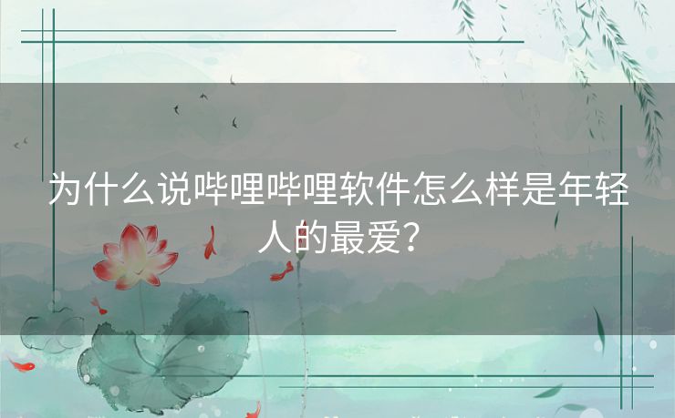 为什么说哔哩哔哩软件怎么样是年轻人的最爱？