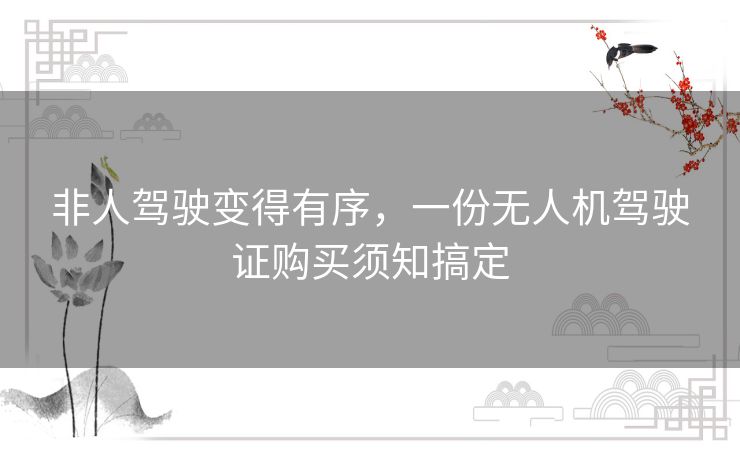 非人驾驶变得有序，一份无人机驾驶证购买须知搞定