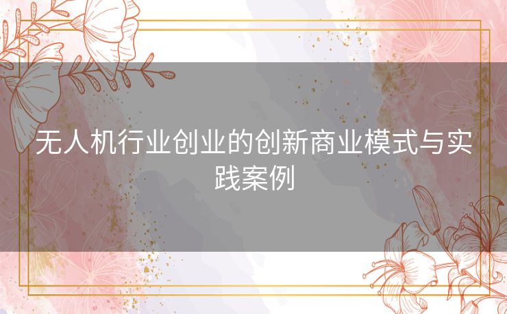 无人机行业创业的创新商业模式与实践案例 无人机行业创业的创新商业模式与实践案例