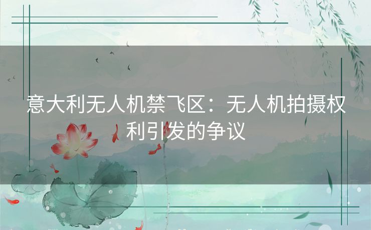 意大利无人机禁飞区:无人机拍摄权利引发的争议 意大利无人机禁飞区:无人机拍摄权利引发的争议
