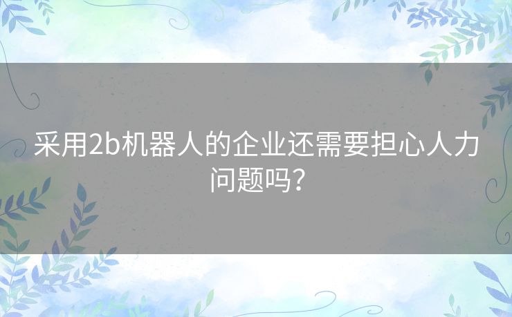 采用2b机器人的企业还需要担心人力问题吗? 采用2b机器人的企业还需要担心人力问题吗?