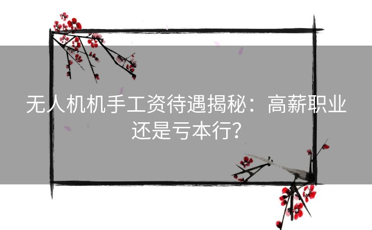 无人机机手工资待遇揭秘:高薪职业还是亏本行? 无人机机手工资待遇揭秘:高薪职业还是亏本行?