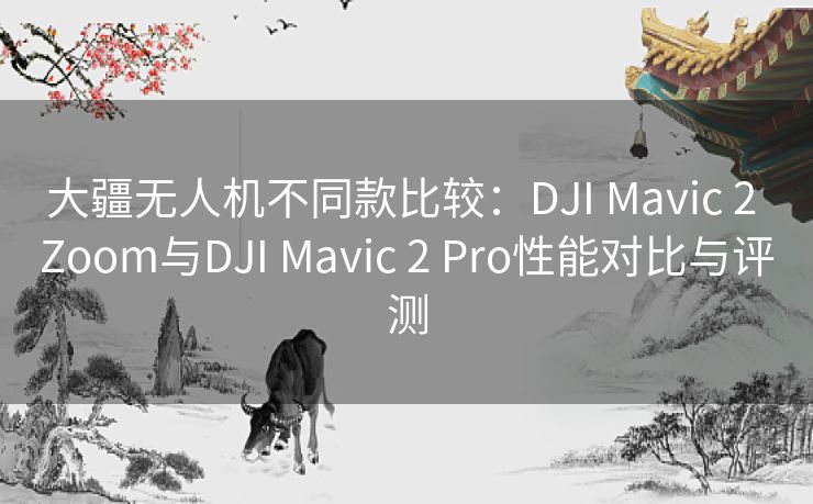 大疆无人机不同款比较:DJI Mavic 2 Zoom与DJI Mavic 2 Pro性能对比与评测 大疆无人机不同款比较:DJI Mavic 2 Zoom与DJI Mavic 2 Pro性能对比与评测