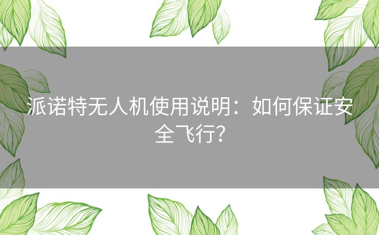 派诺特无人机使用说明:如何保证安全飞行? 派诺特无人机使用说明:如何保证安全飞行?
