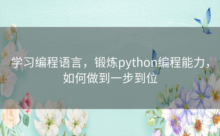 学习编程语言，锻炼python编程能力，如何做到一步到位