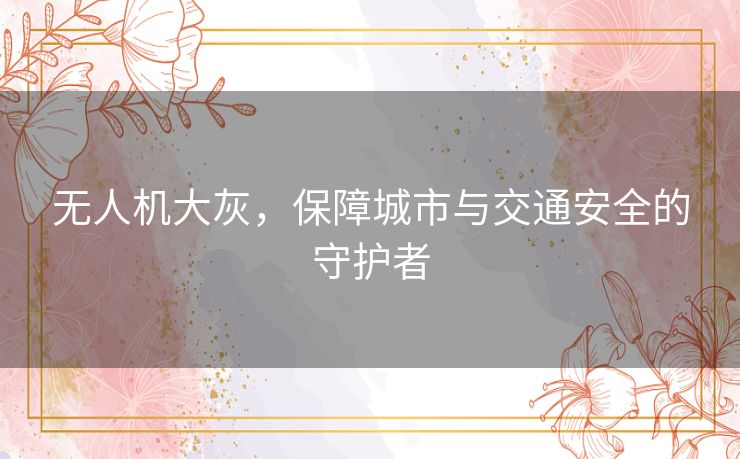 无人机大灰,保障城市与交通安全的守护者 无人机大灰,保障城市与交通安全的守护者