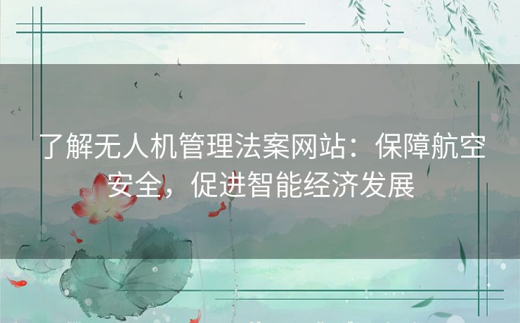 了解无人机管理法案网站:保障航空安全,促进智能经济发展 了解无人机管理法案网站:保障航空安全,促进智能经济发展