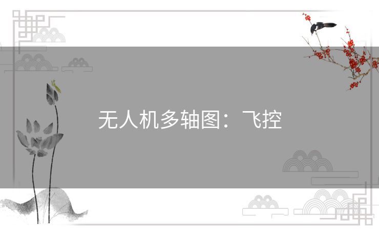 无人机多轴图：飞控