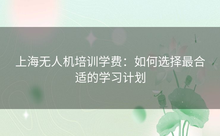 上海无人机培训学费:如何选择最合适的学习计划 上海无人机培训学费:如何选择最合适的学习计划