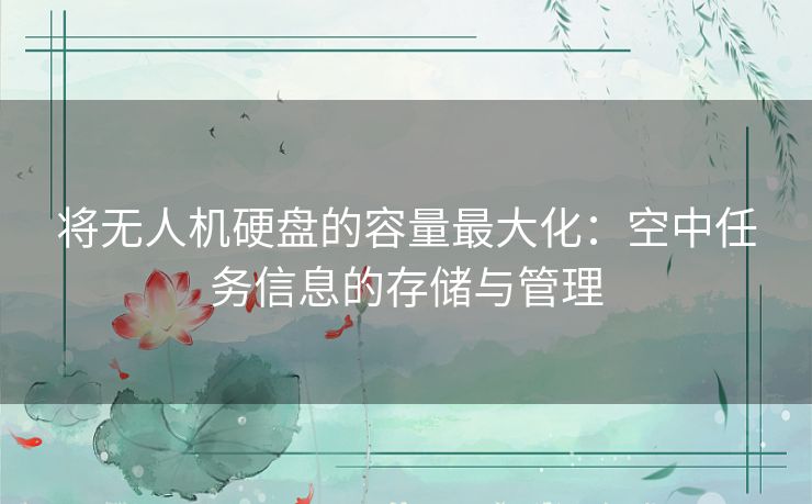 将无人机硬盘的容量最大化：空中任务信息的存储与管理