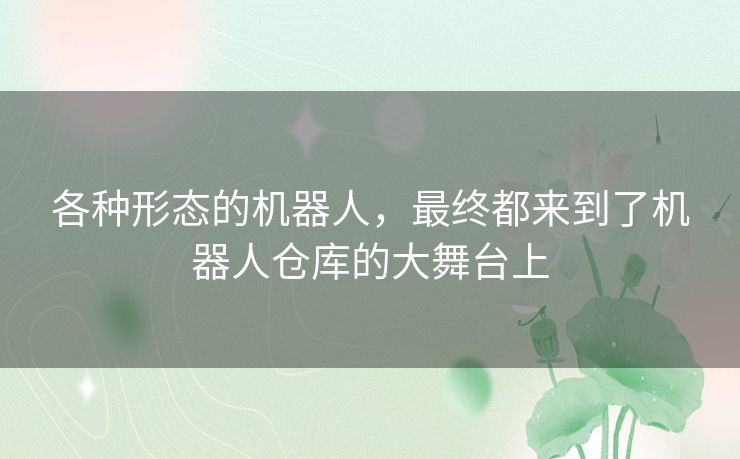 各种形态的机器人，最终都来到了机器人仓库的大舞台上