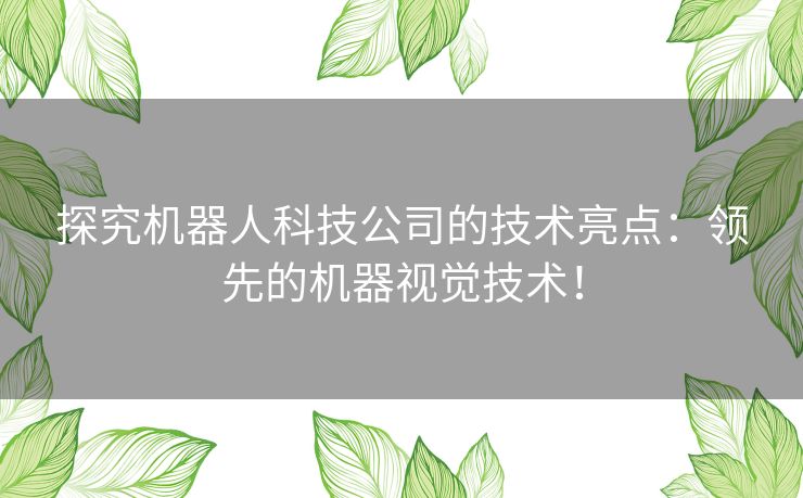 探究机器人科技公司的技术亮点：领先的机器视觉技术！