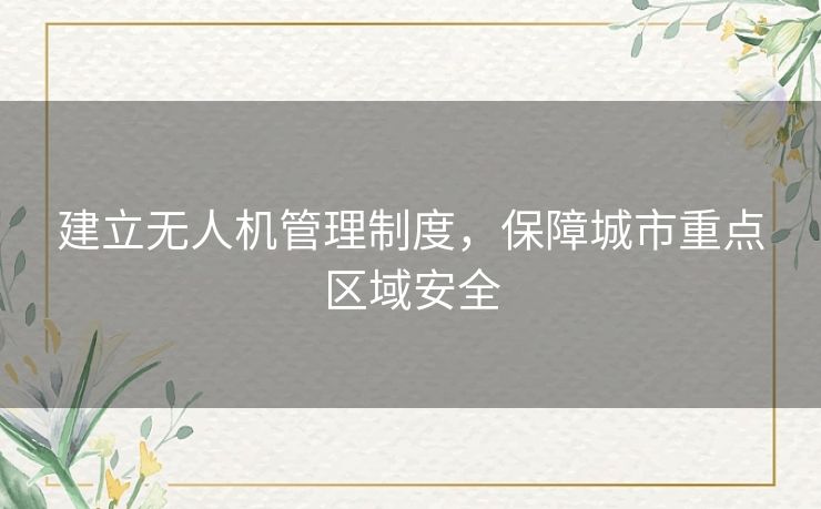 建立无人机管理制度，保障城市重点区域安全