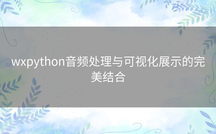 wxpython音频处理与可视化展示的完美结合 wxpython音频处理与可视化展示的完美结合