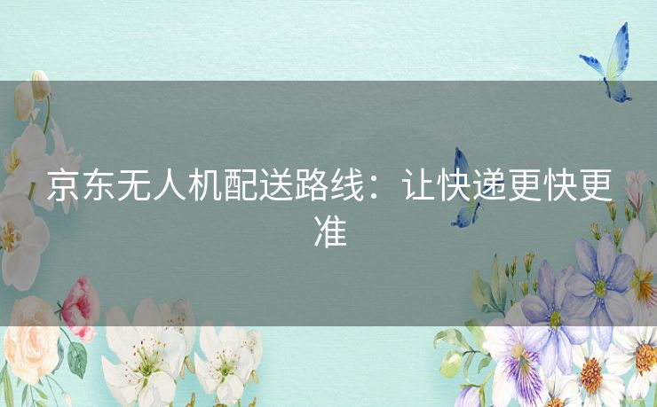 京东无人机配送路线:让快递更快更准 京东无人机配送路线:让快递更快更准