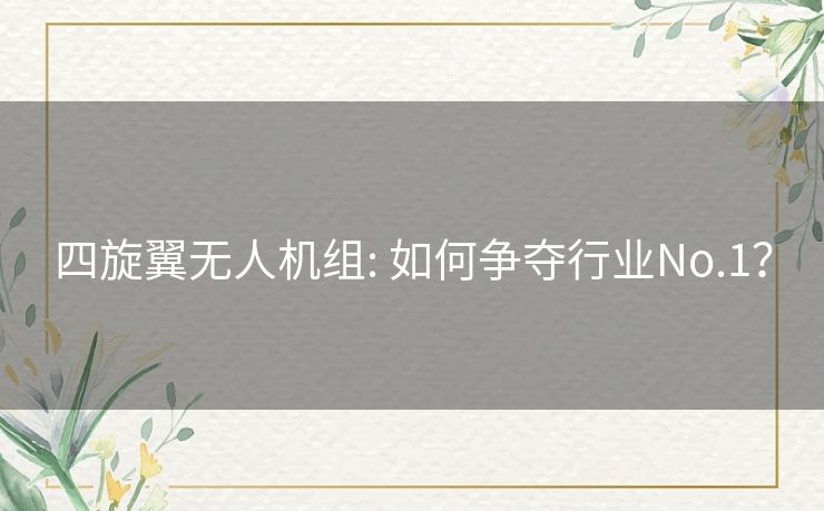 四旋翼无人机组: 如何争夺行业No.1? 四旋翼无人机组: 如何争夺行业No.1?