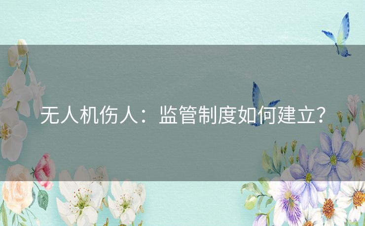 无人机伤人:监管制度如何建立? 无人机伤人:监管制度如何建立?