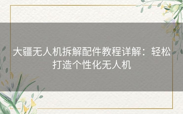 大疆无人机拆解配件教程详解:轻松打造个性化无人机 大疆无人机拆解配件教程详解:轻松打造个性化无人机