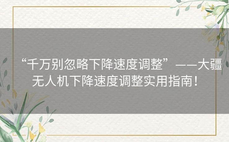 “千万别忽略下降速度调整”——大疆无人机下降速度调整实用指南! “千万别忽略下降速度调整”——大疆无人机下降速度调整实用指南!