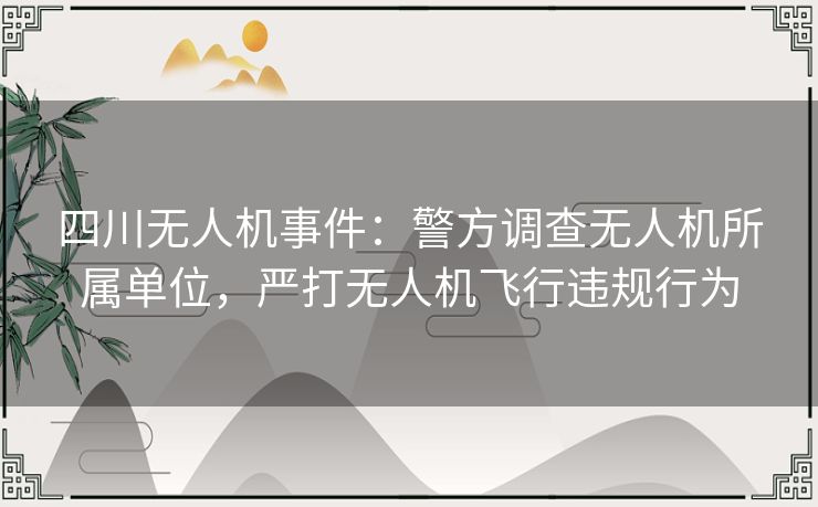 四川无人机事件:警方调查无人机所属单位,严打无人机飞行违规行为 四川无人机事件:警方调查无人机所属单位,严打无人机飞行违规行为