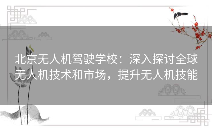 北京无人机驾驶学校:深入探讨全球无人机技术和市场,提升无人机技能 北京无人机驾驶学校:深入探讨全球无人机技术和市场,提升无人机技能