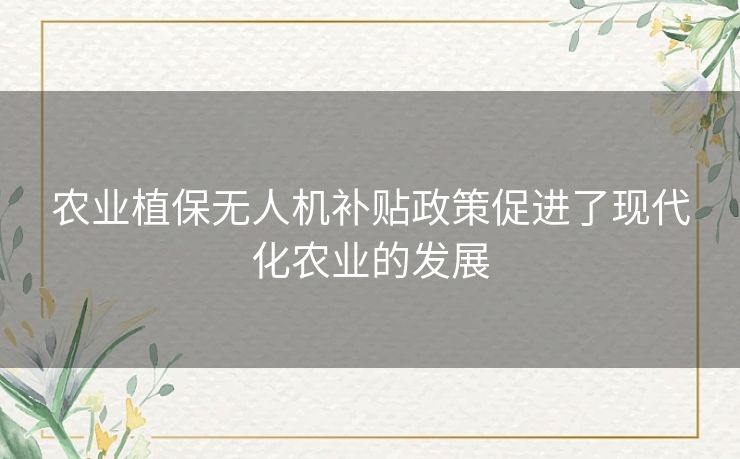 农业植保无人机补贴政策促进了现代化农业的发展
