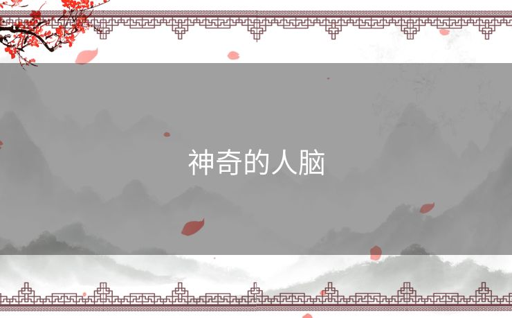 神奇的人脑 神奇的人脑