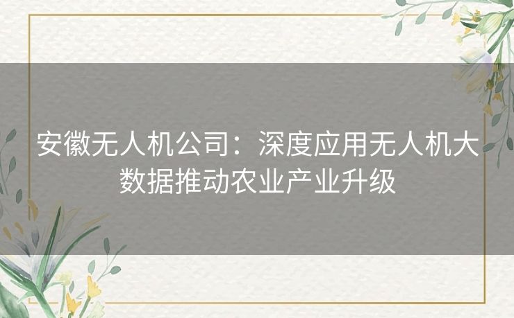 安徽无人机公司:深度应用无人机大数据推动农业产业升级 安徽无人机公司:深度应用无人机大数据推动农业产业升级