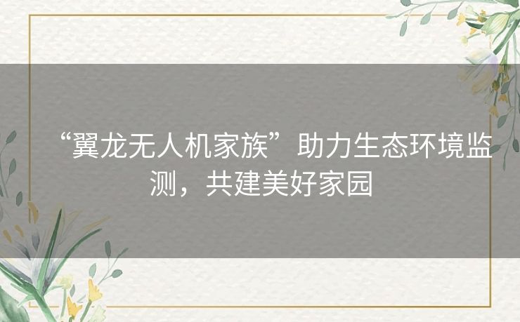 “翼龙无人机家族”助力生态环境监测,共建美好家园 “翼龙无人机家族”助力生态环境监测,共建美好家园