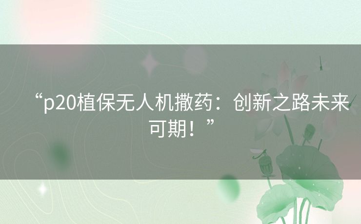 “p20植保无人机撒药:创新之路未来可期!” “p20植保无人机撒药:创新之路未来可期!”