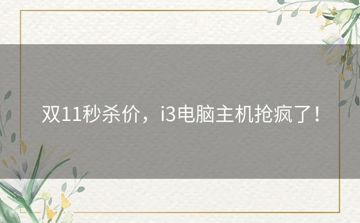 双11秒杀价，i3电脑主机抢疯了！