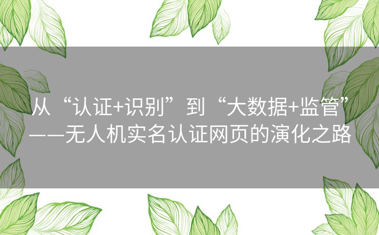 从“认证+识别”到“大数据+监管”——无人机实名认证网页的演化之路