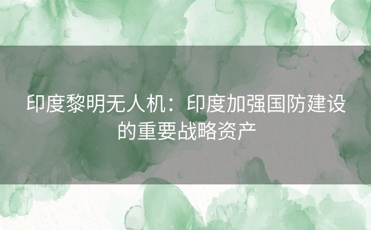 印度黎明无人机:印度加强国防建设的重要战略资产 印度黎明无人机:印度加强国防建设的重要战略资产