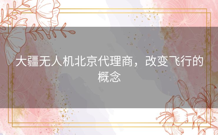 大疆无人机北京代理商，改变飞行的概念