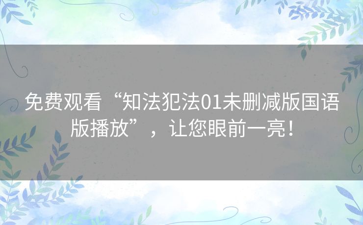 免费观看“知法犯法01未删减版国语版播放”，让您眼前一亮！