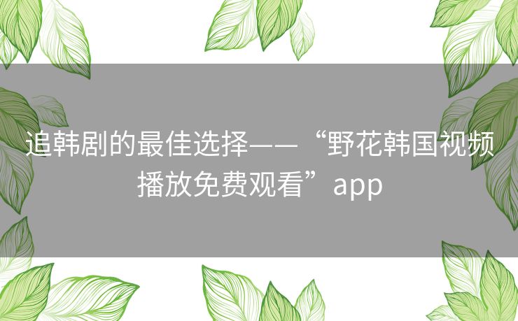 追韩剧的最佳选择——“野花韩国视频播放免费观看”app
