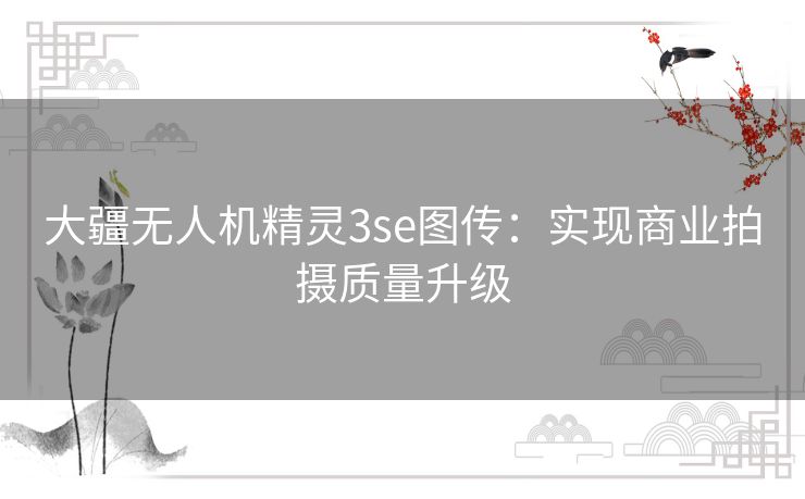 大疆无人机精灵3se图传：实现商业拍摄质量升级