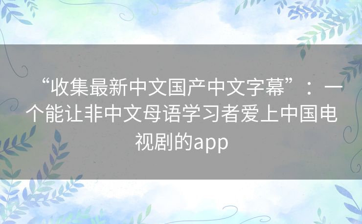 “收集最新中文国产中文字幕”：一个能让非中文母语学习者爱上中国电视剧的app
