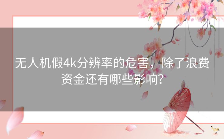 无人机假4k分辨率的危害，除了浪费资金还有哪些影响？