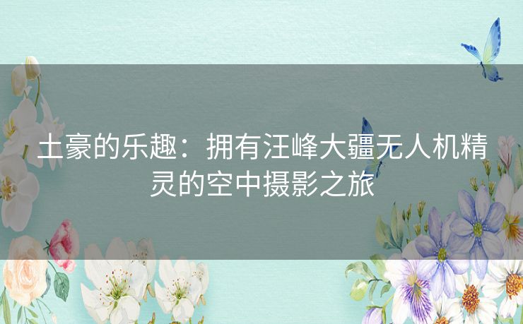 土豪的乐趣:拥有汪峰大疆无人机精灵的空中摄影之旅 土豪的乐趣:拥有汪峰大疆无人机精灵的空中摄影之旅