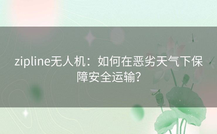 zipline无人机：如何在恶劣天气下保障安全运输？