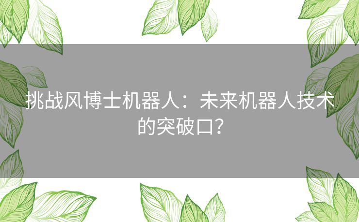 挑战风博士机器人:未来机器人技术的突破口? 挑战风博士机器人:未来机器人技术的突破口?