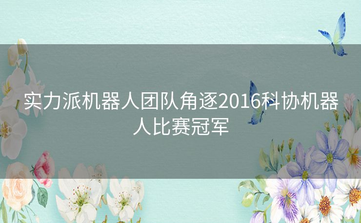 实力派机器人团队角逐2016科协机器人比赛冠军 实力派机器人团队角逐2016科协机器人比赛冠军