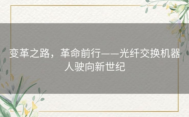 变革之路,革命前行——光纤交换机器人驶向新世纪 变革之路,革命前行——光纤交换机器人驶向新世纪
