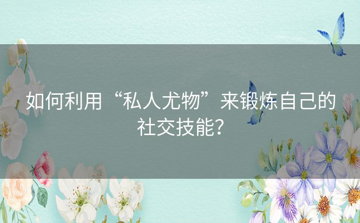 如何利用“私人尤物”来锻炼自己的社交技能? 如何利用“私人尤物”来锻炼自己的社交技能?