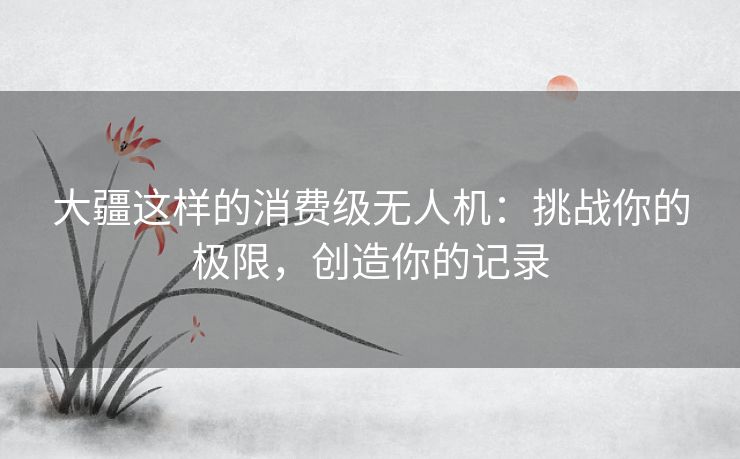 大疆这样的消费级无人机:挑战你的极限,创造你的记录 大疆这样的消费级无人机:挑战你的极限,创造你的记录