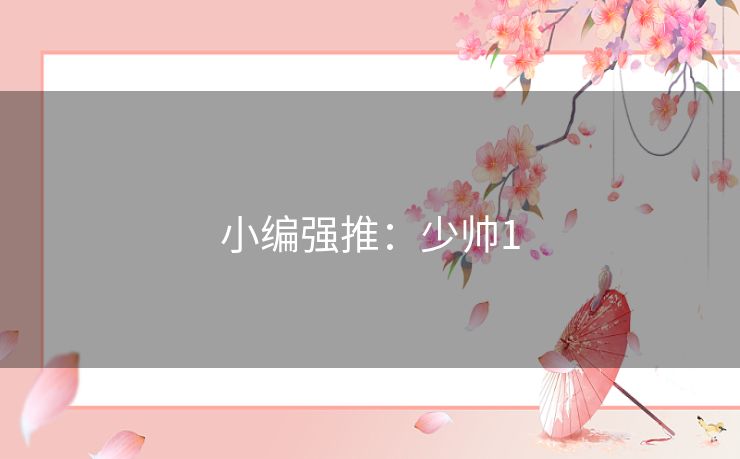 小编强推:少帅1 小编强推:少帅1