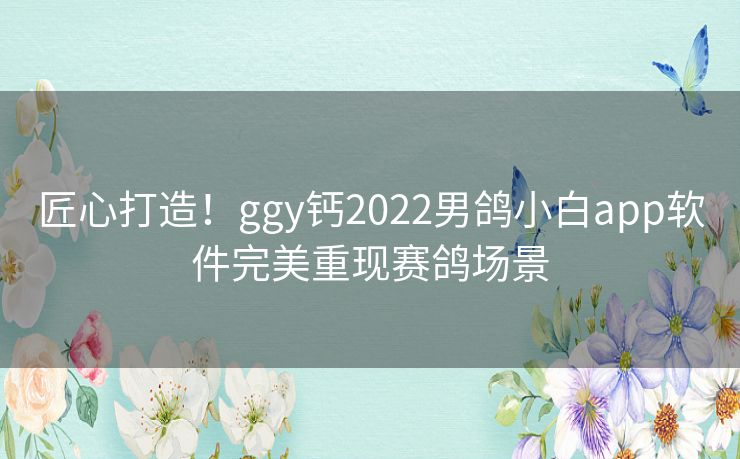 匠心打造!ggy钙2022男鸽小白app软件完美重现赛鸽场景 匠心打造!ggy钙2022男鸽小白app软件完美重现赛鸽场景